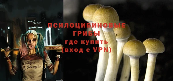шишки Покровск